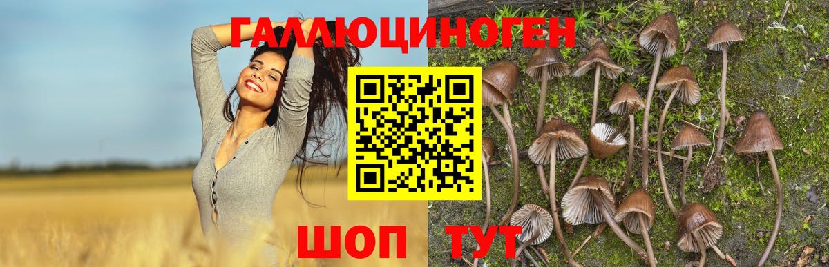 Псилоцибиновые грибы Magic Shrooms Узловая