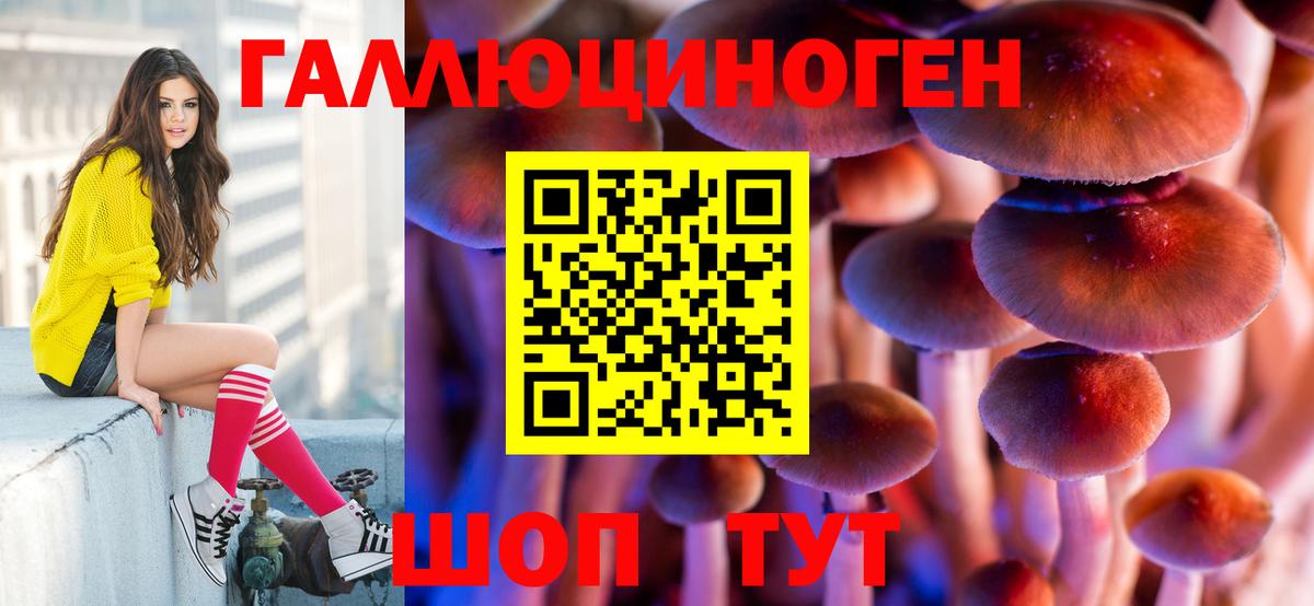 что такое наркотик  Псилоцибиновые грибы мицелий  Вход с VPN  Узловая  Галлюциногенные грибы Psilocybine cubensis 